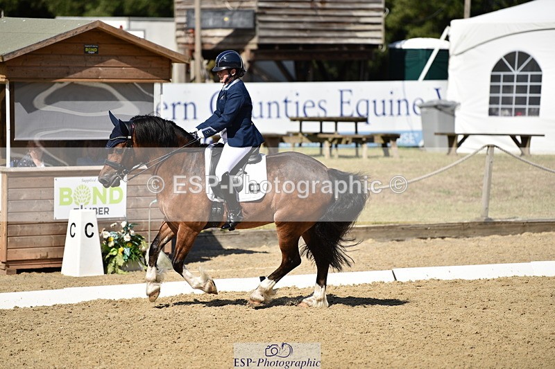 140110A-050632-12377 - 158-Alison.Crimp-Crwys.Beau