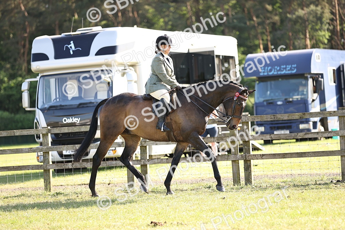 SBM_19744 - Class 87-88 - RIHS BSHA Riding Horses
