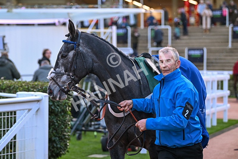 171124-Race 6-Paddock-Count Of Vendome-4475 - Race 6