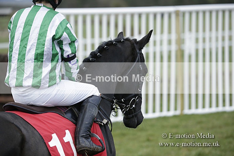 PtP 150320 0747 - New Forest Point-to-Point Larkhill 15/03/20
