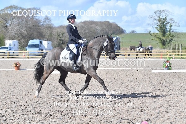 BPP_9508 - NOVICE 6