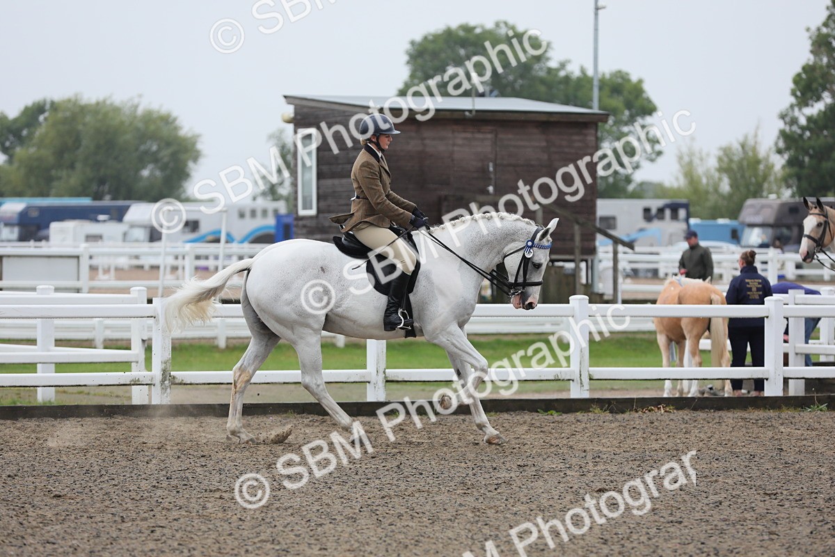 SBM_20044 - Class 802 - Ridden Groom - Helpers class