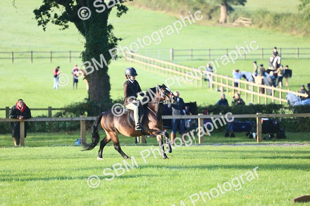 SBM_37295 - S29 - Novice & Newcomers Working Hunter Pony