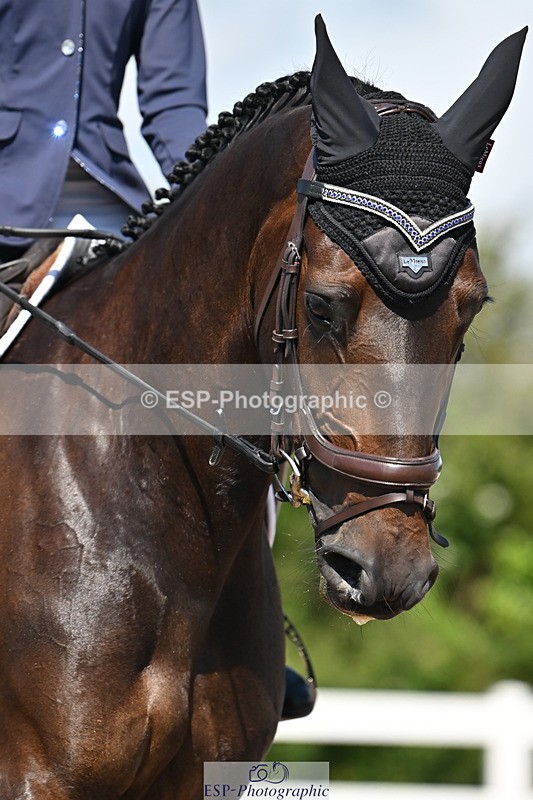 240621A-102245-01352 - Cls 4 BD Novice 22