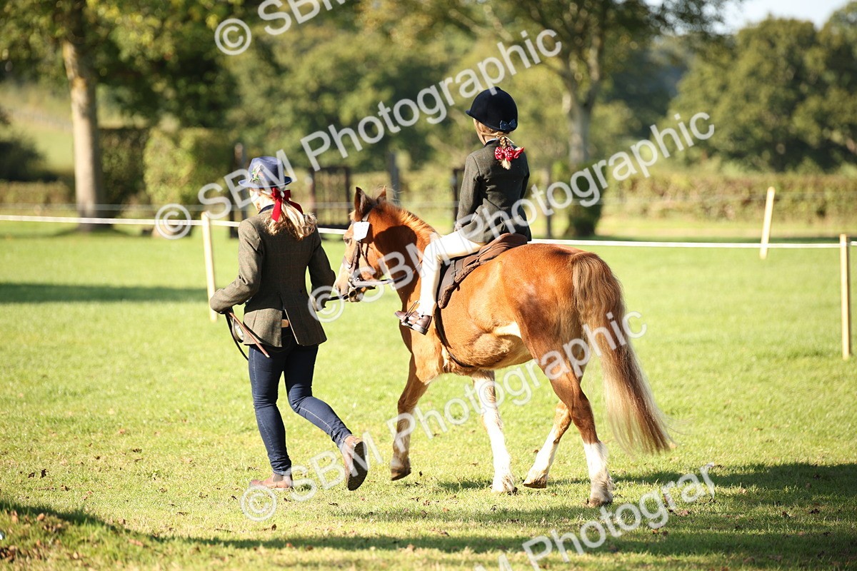 SBM_35707 - S9 - Lead Rein Equitation