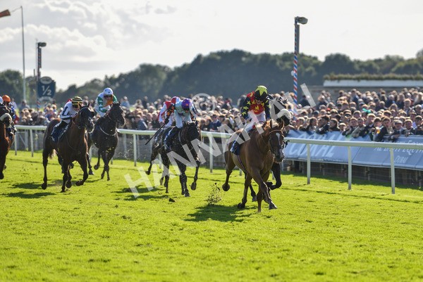 141023-Race 3-Montassib-0983 - Race 3 2.25pm Coral Sprint Trophy Handicap