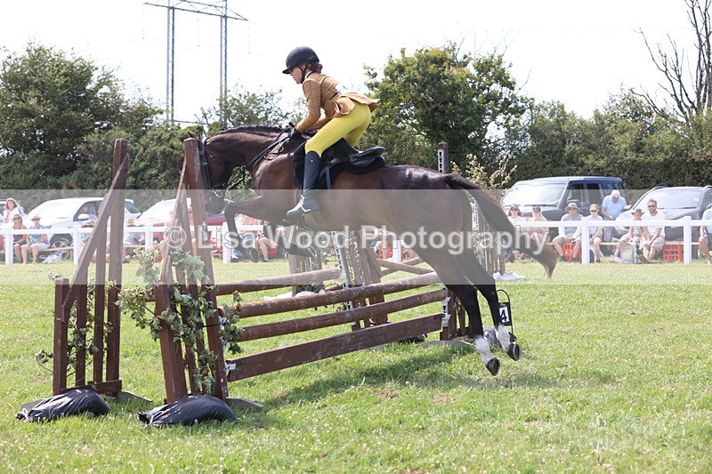 JPP_3568 - Class 23: Working Hunter 80cm