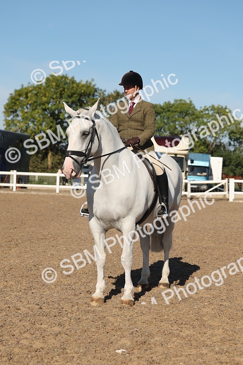 SBM_12234 - Class 303 - Ridden Pure Bred Horse Pony