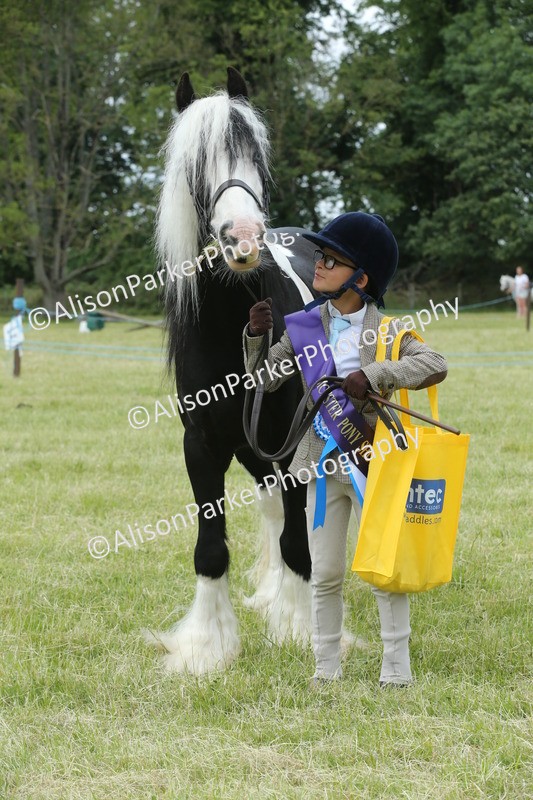 20260614-4316 - Class 18 - Best Junior Handler