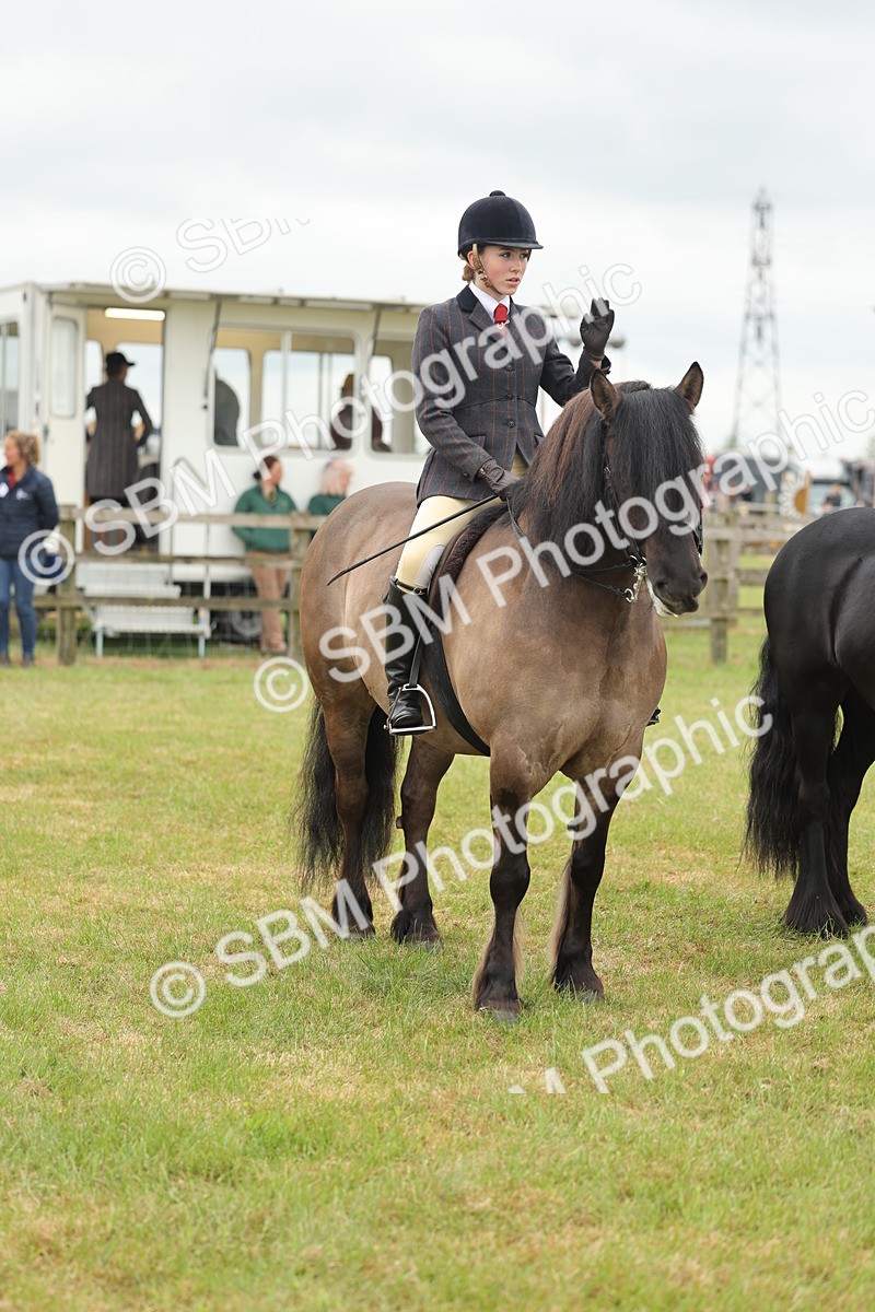 SBM_09011 - Class 78-80 - Ridden M&M Non Welsh Ponies