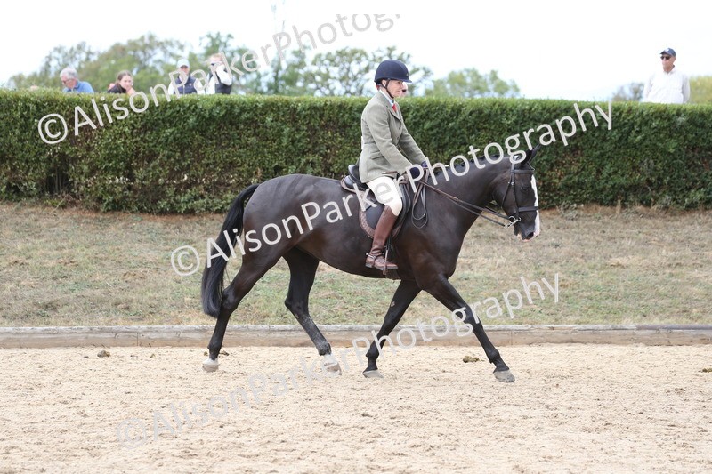 20260831-2715 - Class 16 and 17- Ridden Cob and Hunters