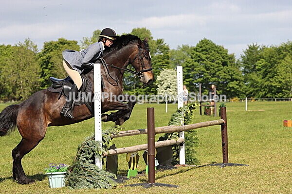 IMG_4770 - Working Hunter