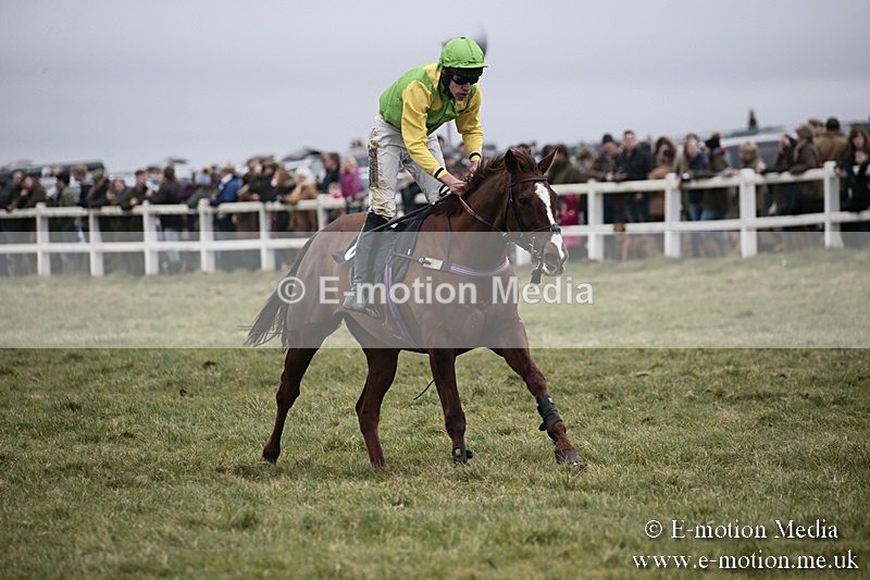 PtP 180218 649 - Combined Services Point-to-Point Larkhill 18/02/18