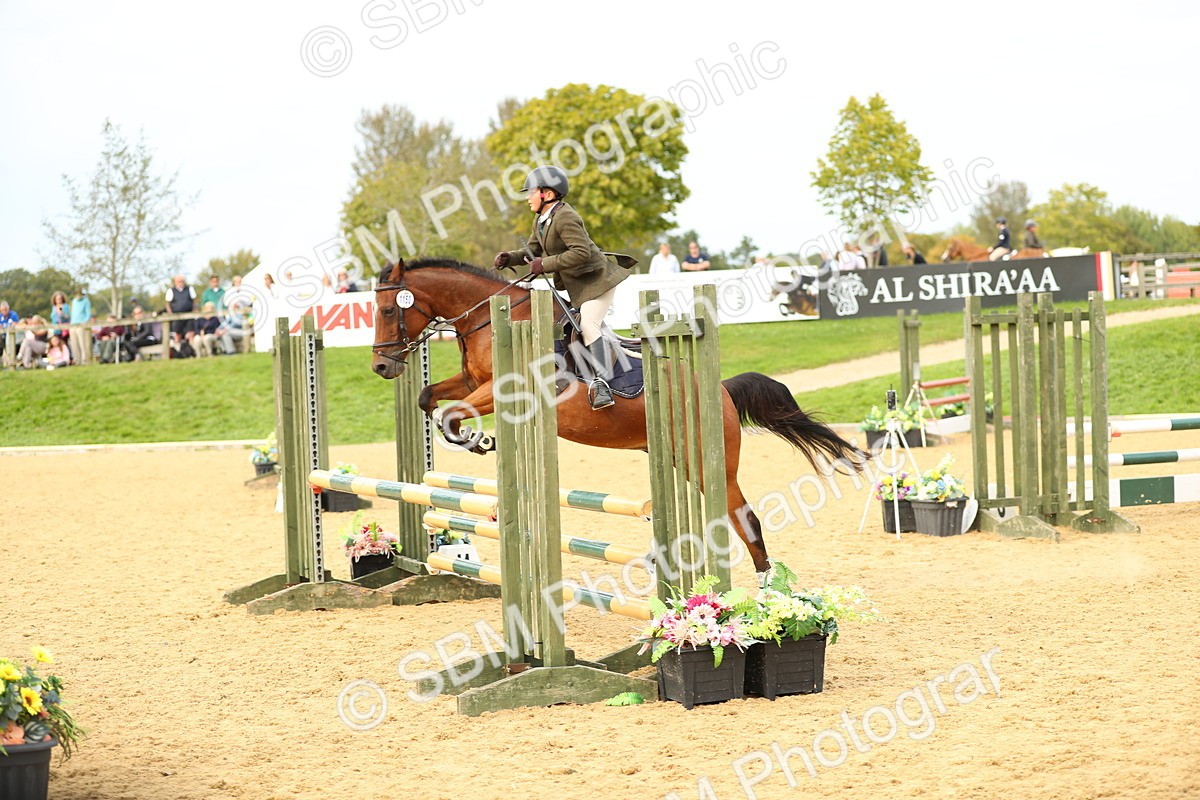 SBM_71289 - J18 - Junior Pony 85cm Championship