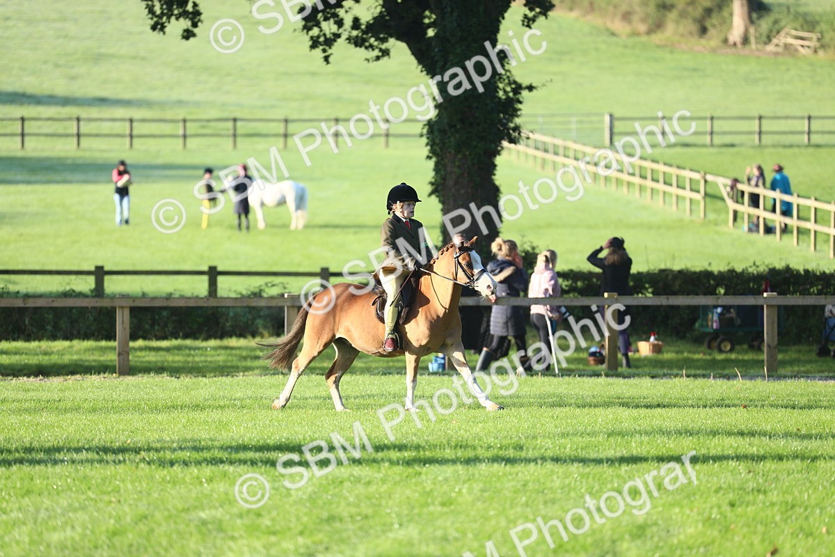 SBM_37224 - S29 - Novice & Newcomers Working Hunter Pony