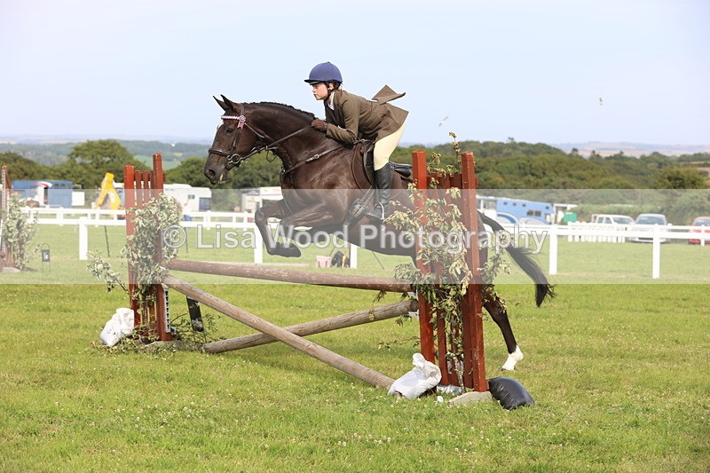 JPP_4216 - Class 25: Working Show Horse
