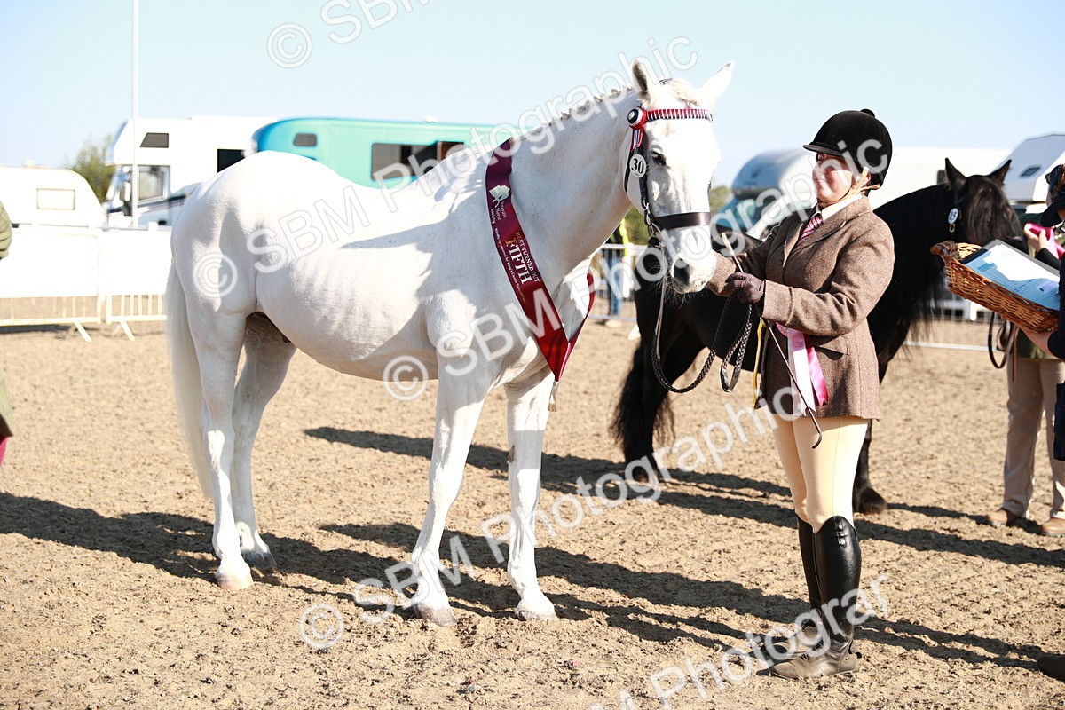 SBM_00130 - Class 40 Best Turned Out IH