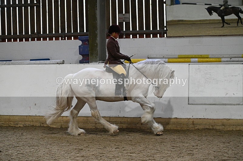 WJ7_3861 - Class 17 Ridden Cob
