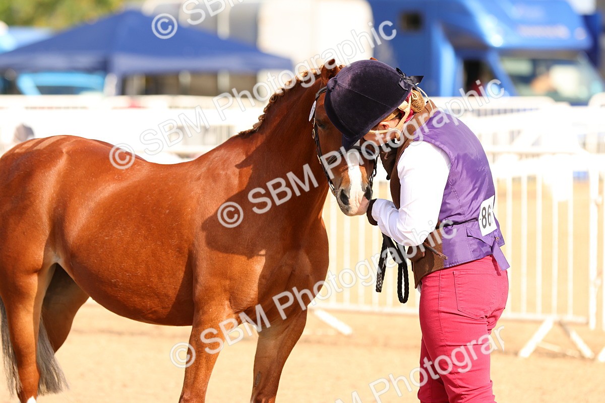 SBM_09233 - Class 204 - Young Handler