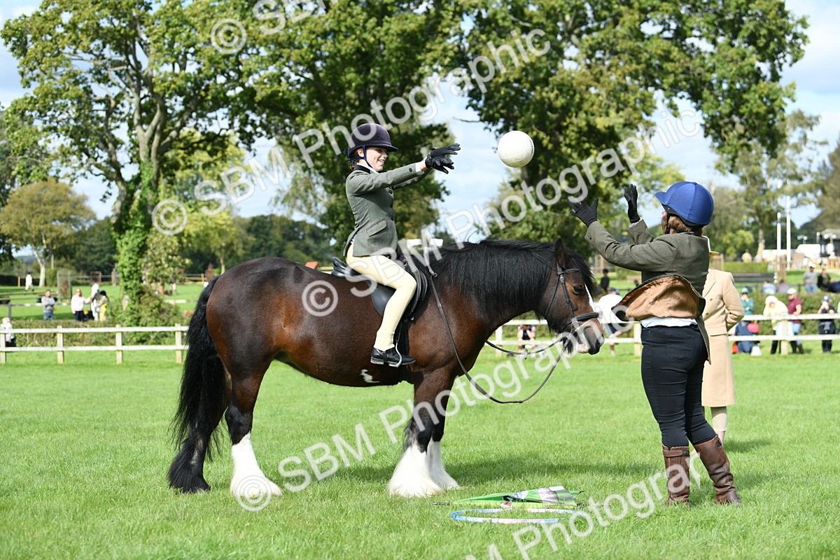 SBM_46922 - S12 - Family Horse & Pony