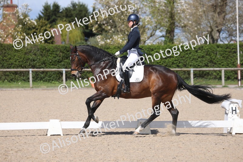 20260405-0589 - Class 7 - Medium 5