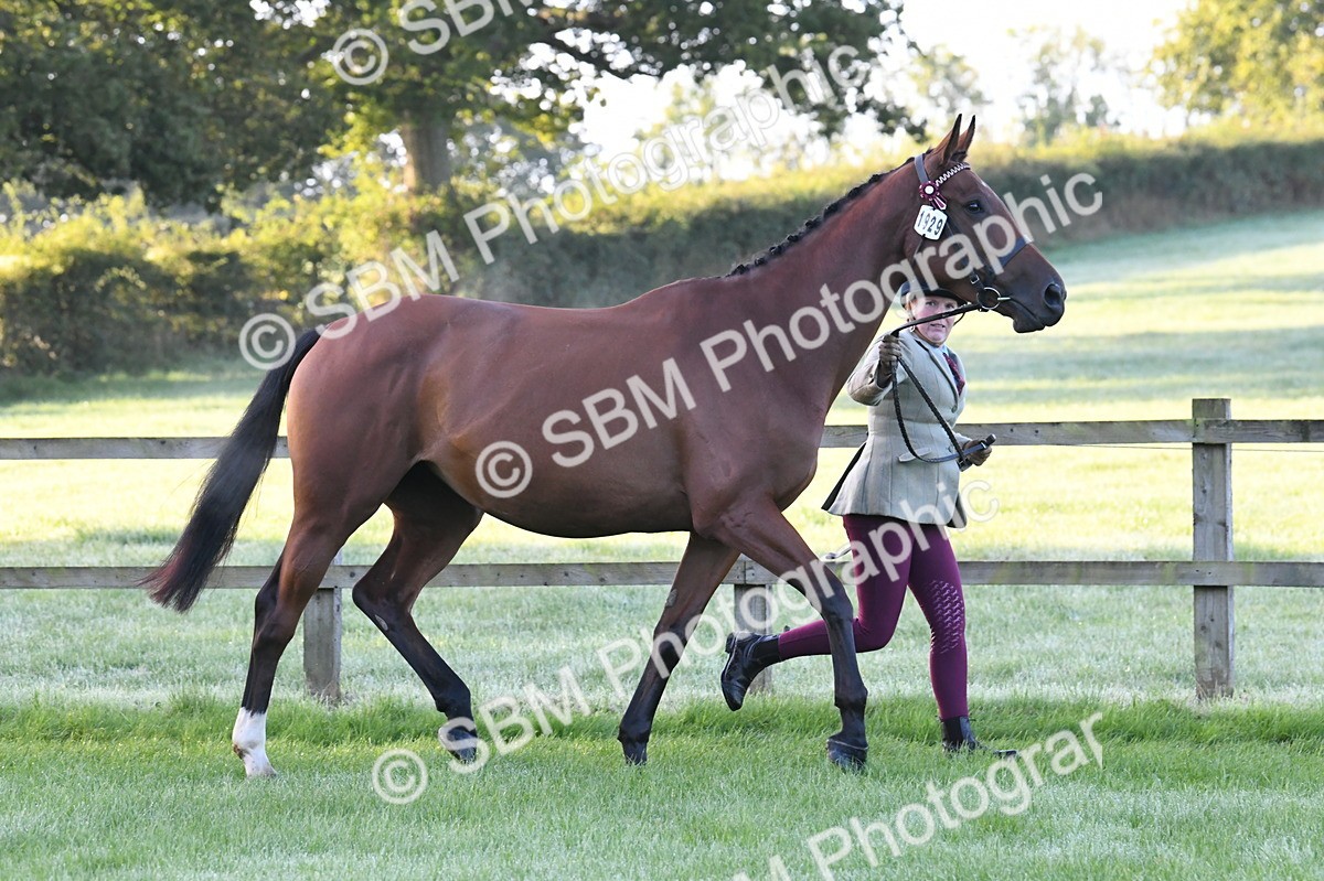 SBM_32530 - S15 - Condition & Turnout In Hand