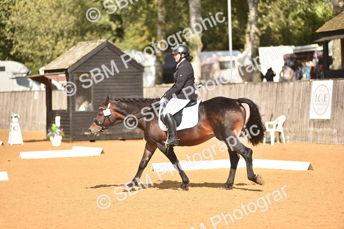 SBM_24201 - D4 - Small Tour Championship Intro 4
