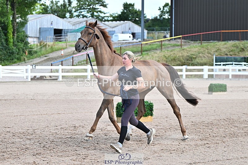 240718A-105253-01291 - Trot Up 12pm to 1pm