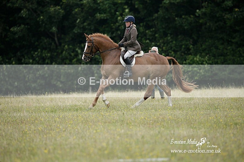 BVRC 030721 6 - Bourne Valley Riding Club Dressage 03/07/21