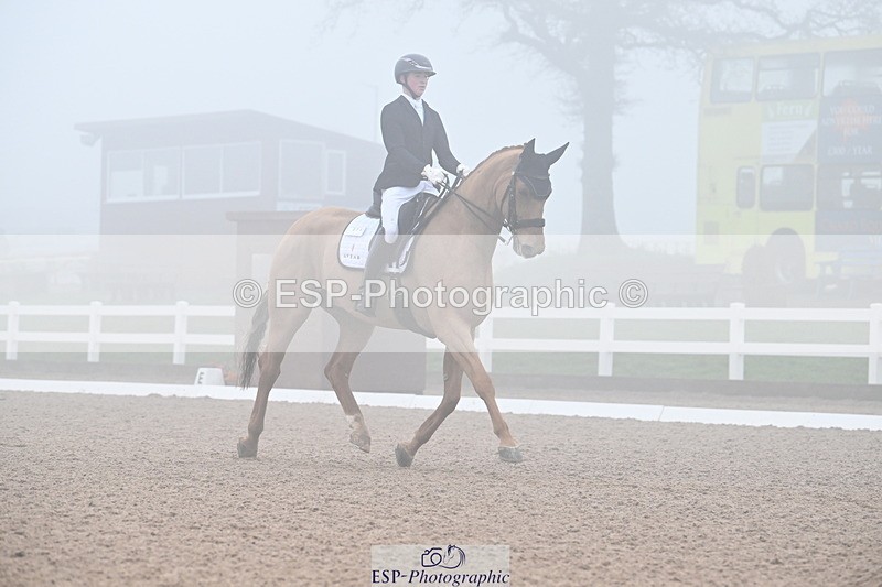 240217A-131605-02799 - 271-Tom.Carter-Rubin.Regal