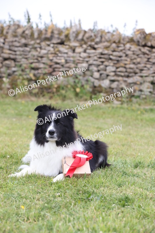 20250607-0259 - Class 5 - Trick and Treat