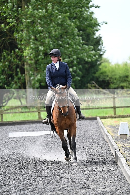 WJ7_8949 - Time 11:32 to 11:54