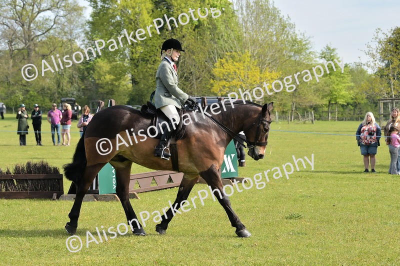 20260426-0923 - Class 18 - Novice Showing