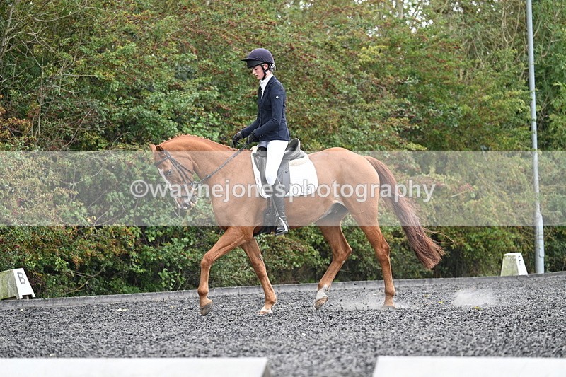 WJ7_6721 - Time 14:49 to 15:14