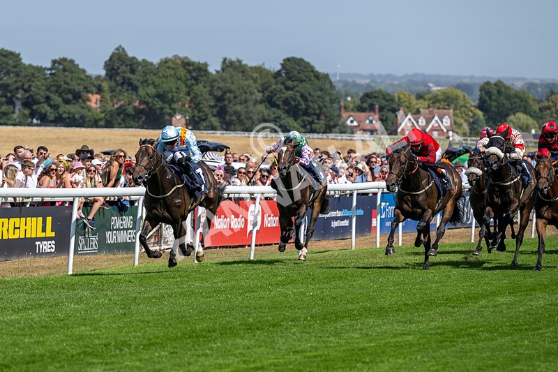 120826-Race 1-Lexington Boom-5065 - Race 1 14.15pm Macan At Porsche Centre Hull EBF Restricted Novice Stakes