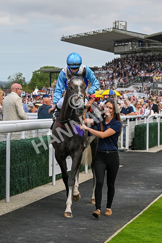 140824-Race 5-Havana Blue-6720 - Race 5