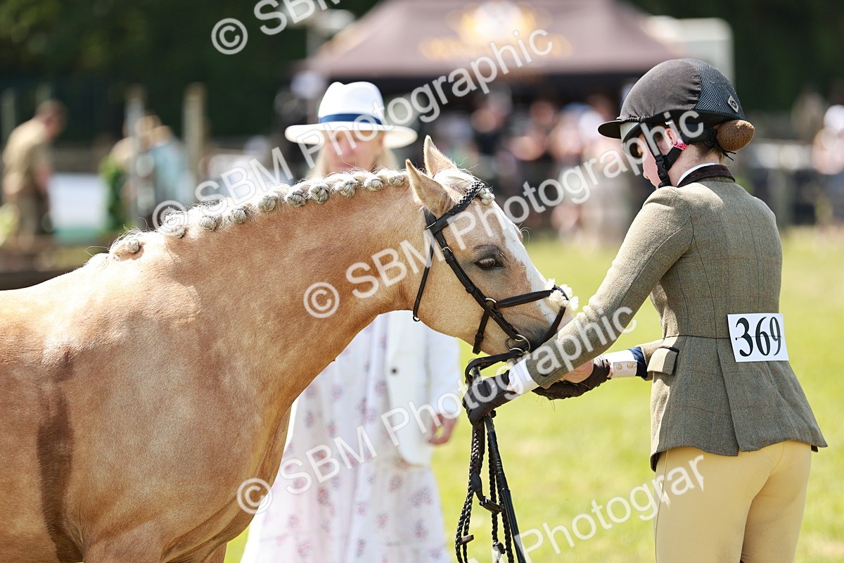 SBM_15699 - Class 108-109 - BSPS LIHS Open Gradle & Nursery Stakes