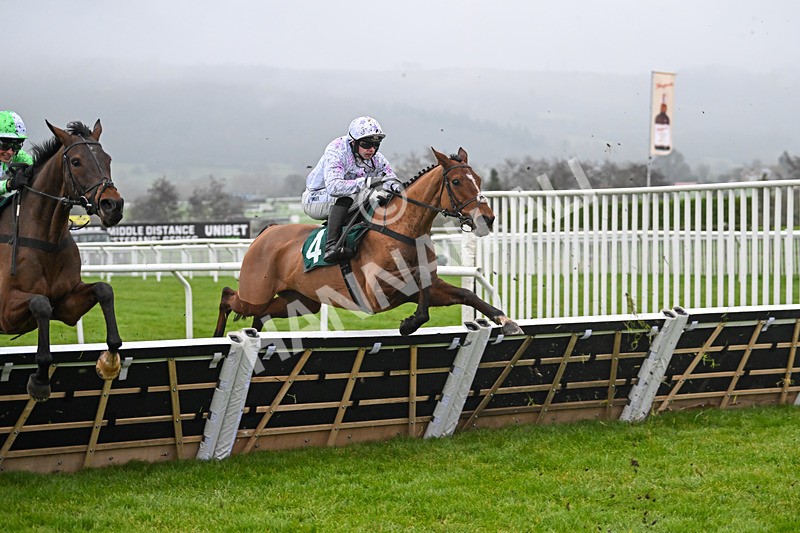 131224-Race 3-Anyharminasking-8923