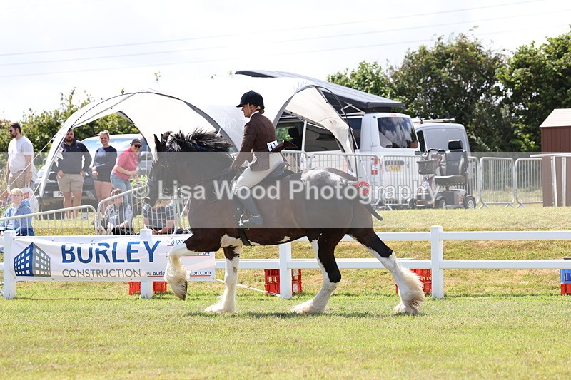 3E7A2892 - Class 13: Heavy Horse Ridden