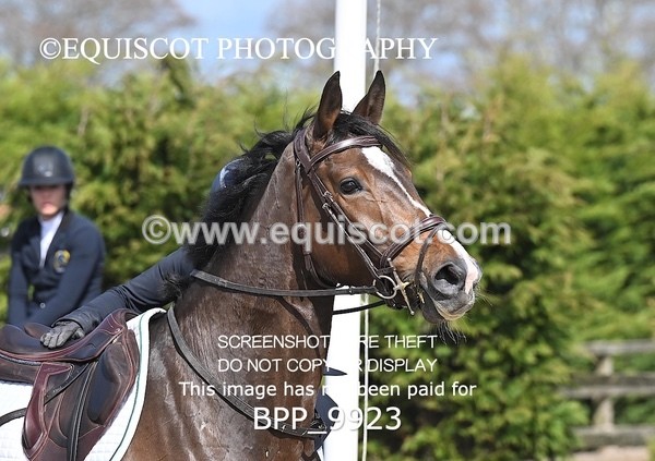 BPP_9923 - CLASS 19 SUN Senior British Novice/ 90cm Open