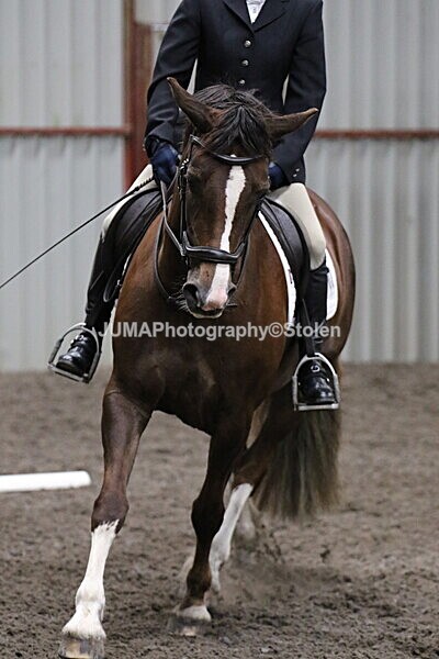 SIAL4649 - CAbin Dressage 5th july 2025