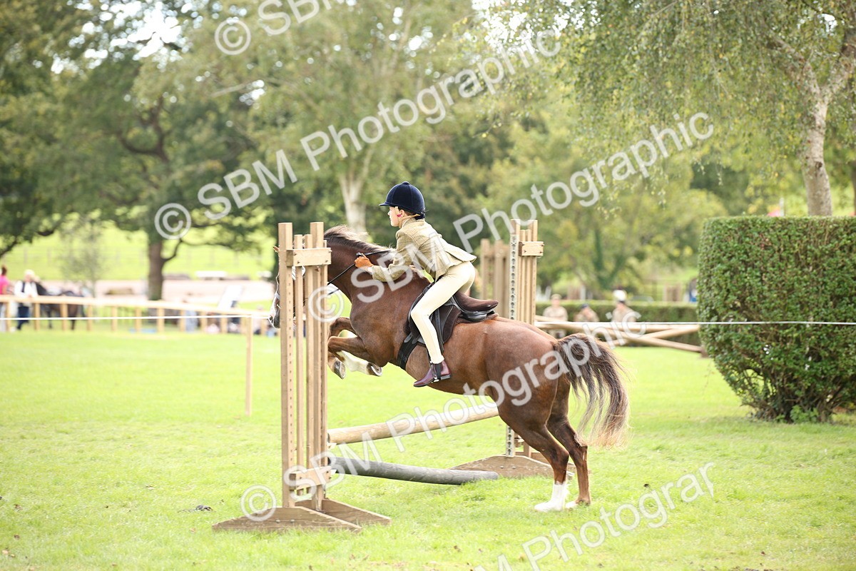 SBM_42307 - S13 - Pony Club Pony