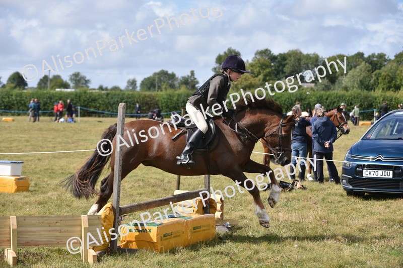 20250831-3928 - Class 11 - Working Hunter Pony 13hh and Under