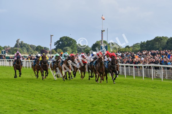 150723-Race 7-Roundhay Park-8879 - Race 7 5.30 pm John Smith's Sprint Handicap