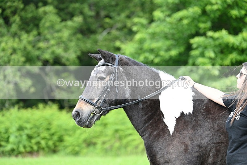 WJ7_1634 - Class 11 Condition & Turnout