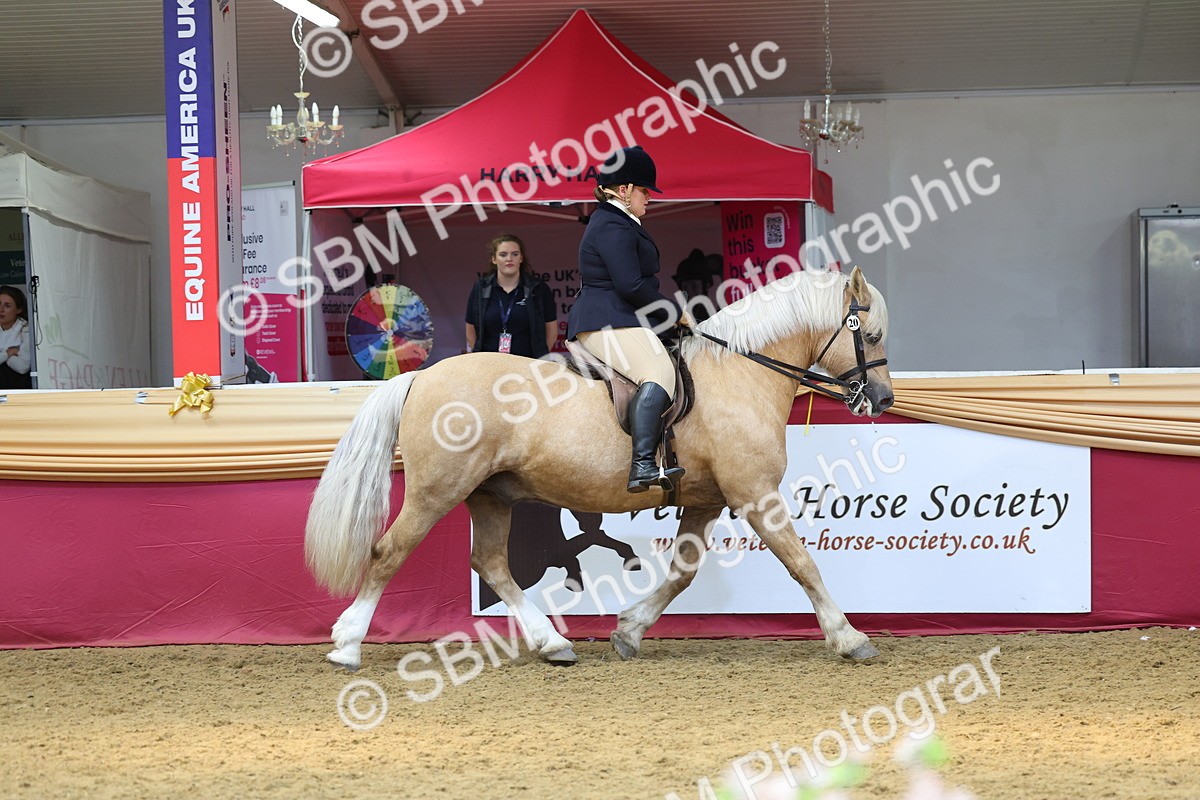 SBM_23895 - Class 905 - Supreme Final - Ridden Veteran