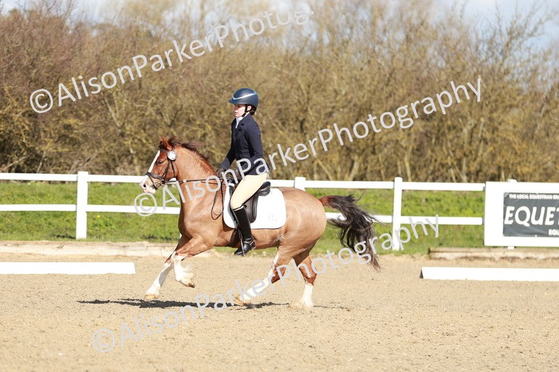 20260314-4296 - DR4 - Prelim 2