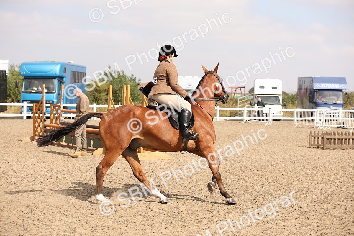 SBM_14274 - Class 407b - Working Veteran 60cm (20+)