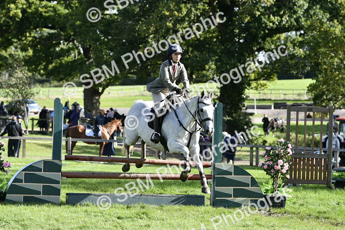 SBM_50029 - S34 - Novice & Newcomers Working Hunter