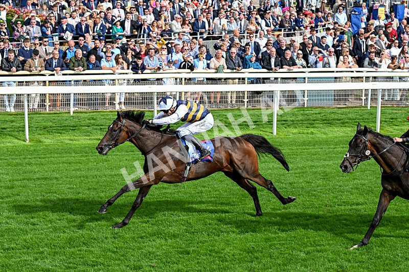 190826-Race 5-Small Fry-0670 - Race 5 16.10pm Sky Bet Stayers Handicap